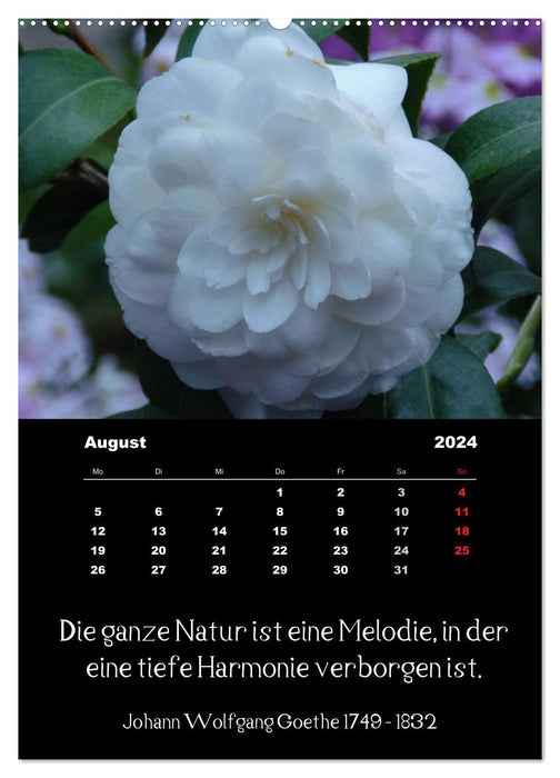 Sprüche und Zitate berühmter Personen über Blumen und Natur (CALVENDO Wandkalender 2024)
