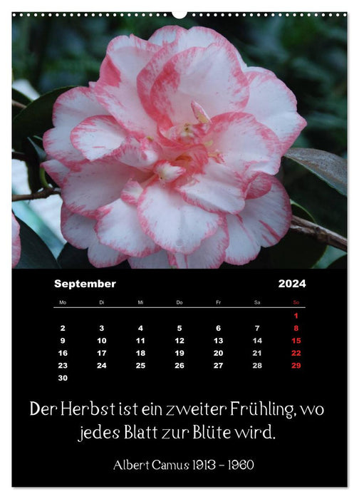 Sayings and quotes from famous people about flowers and nature (CALVENDO wall calendar 2024) 