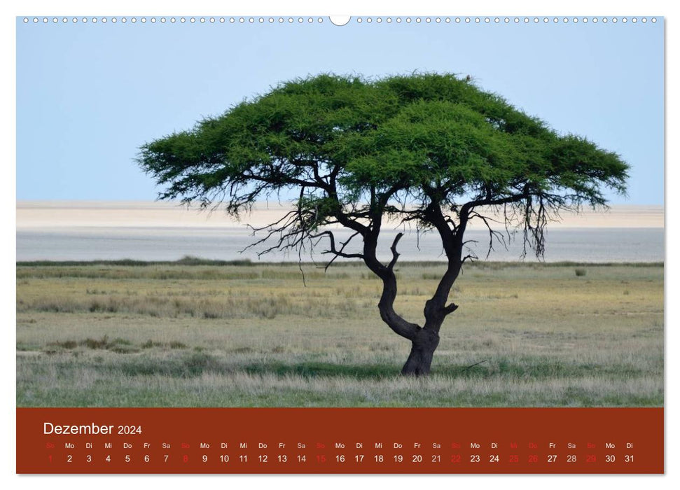Namibia (CALVENDO Premium Wall Calendar 2024) 