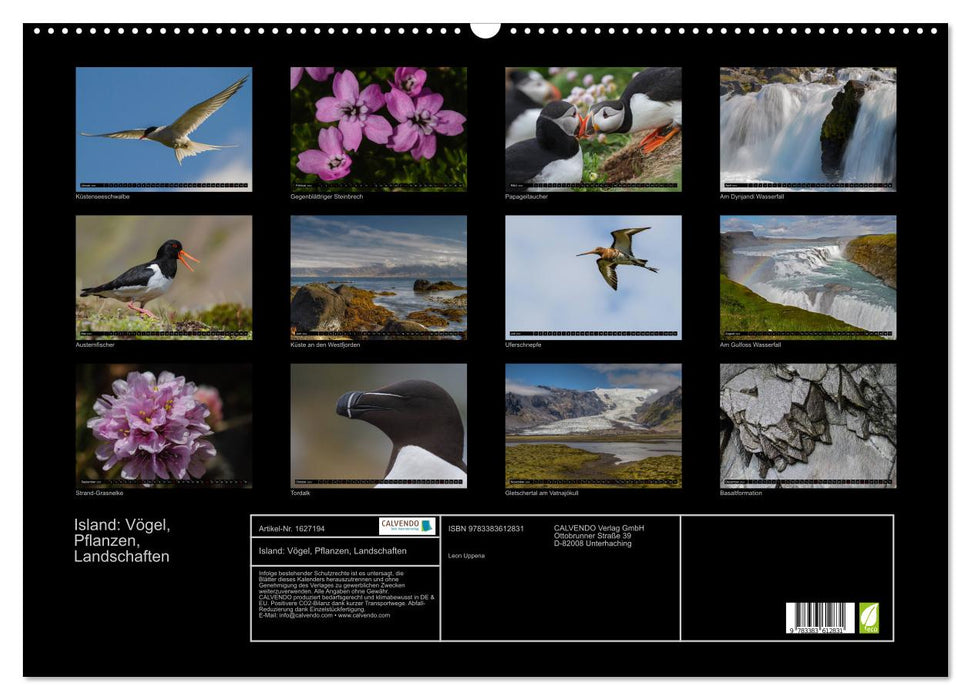 Iceland: birds, plants, landscapes (CALVENDO wall calendar 2024) 