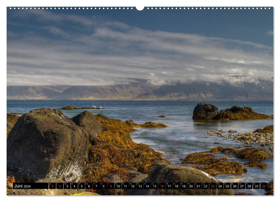Island: Vögel, Pflanzen, Landschaften (CALVENDO Wandkalender 2024)