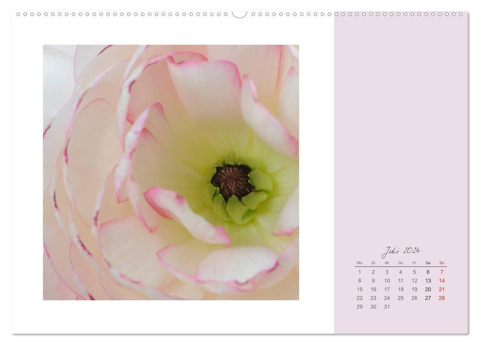 Blütenträume (CALVENDO Wandkalender 2024)