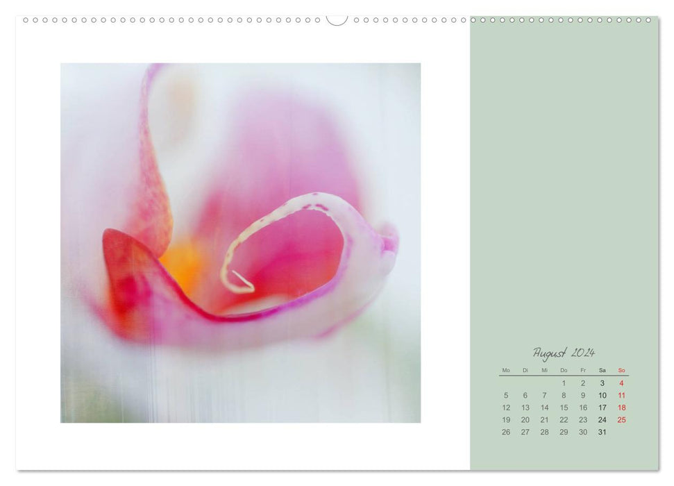 Blütenträume (CALVENDO Wandkalender 2024)