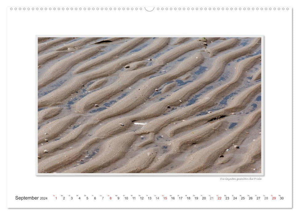 Emotional moments: Texel - island in the Wadden Sea. (CALVENDO Premium Wall Calendar 2024) 