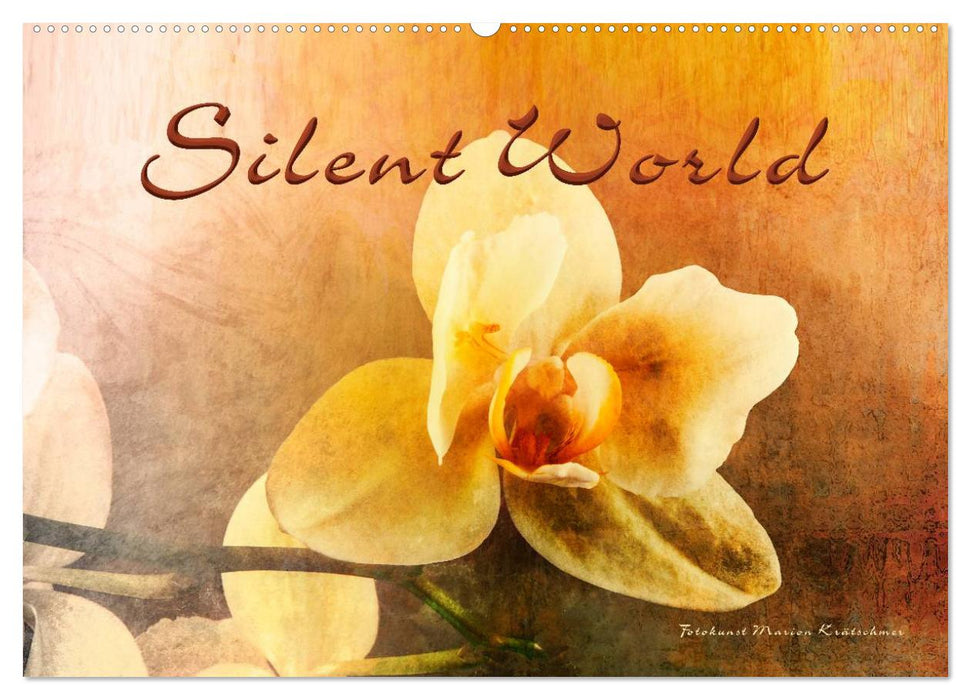 Silent World (CALVENDO wall calendar 2024) 