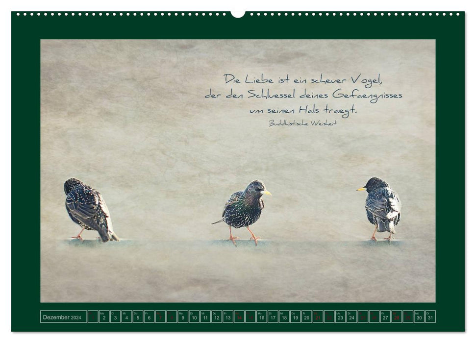 Starlings and Wisdom (CALVENDO Premium Wall Calendar 2024) 