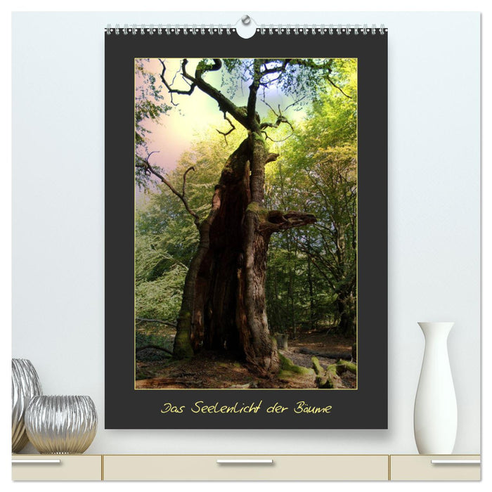 The soul light of the trees (CALVENDO Premium Wall Calendar 2024) 