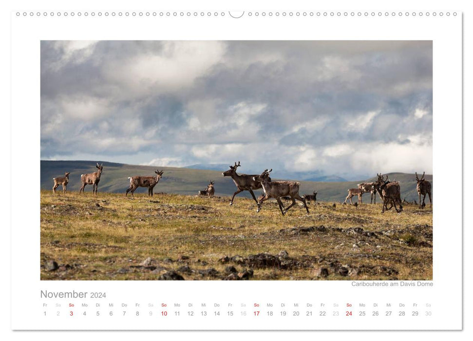 Alaska 2024 (CALVENDO wall calendar 2024) 