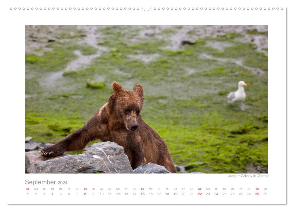 Alaska 2024 (CALVENDO wall calendar 2024) 