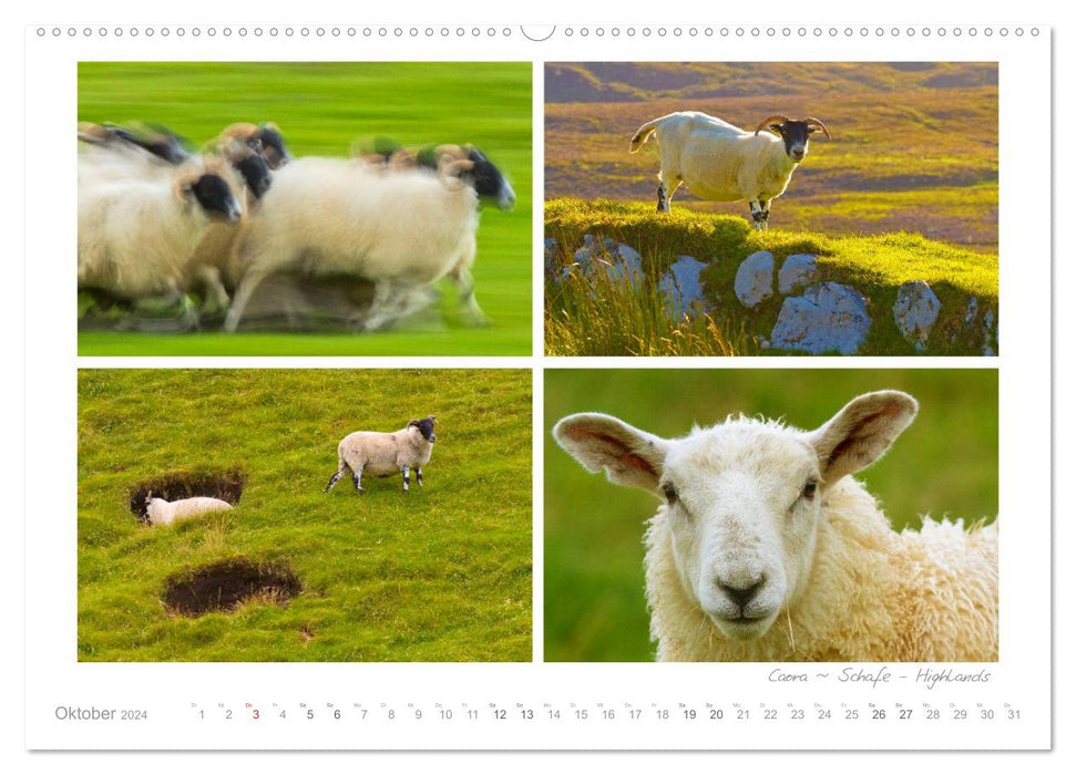 Longing for Scotland (CALVENDO Premium Wall Calendar 2024) 