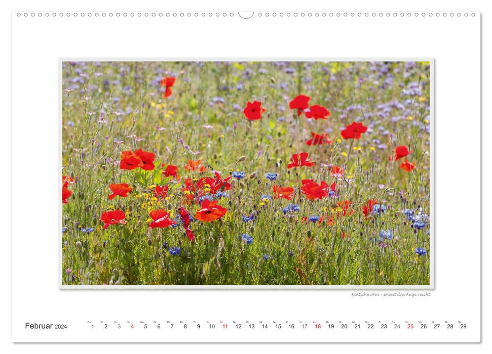 Moments d'émotion : Texel - île de la mer des Wadden. (Calendrier mural CALVENDO 2024) 