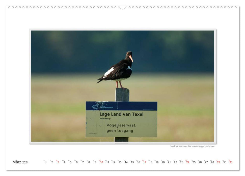 Emotional moments: Texel - island in the Wadden Sea. (CALVENDO wall calendar 2024) 