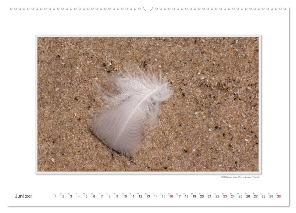 Moments d'émotion : Texel - île de la mer des Wadden. (Calendrier mural CALVENDO 2024) 