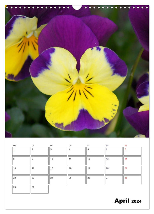 Frühlingserwachen (CALVENDO Wandkalender 2024)