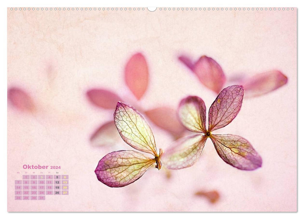 Zauberhafte Blüten (CALVENDO Premium Wandkalender 2024)