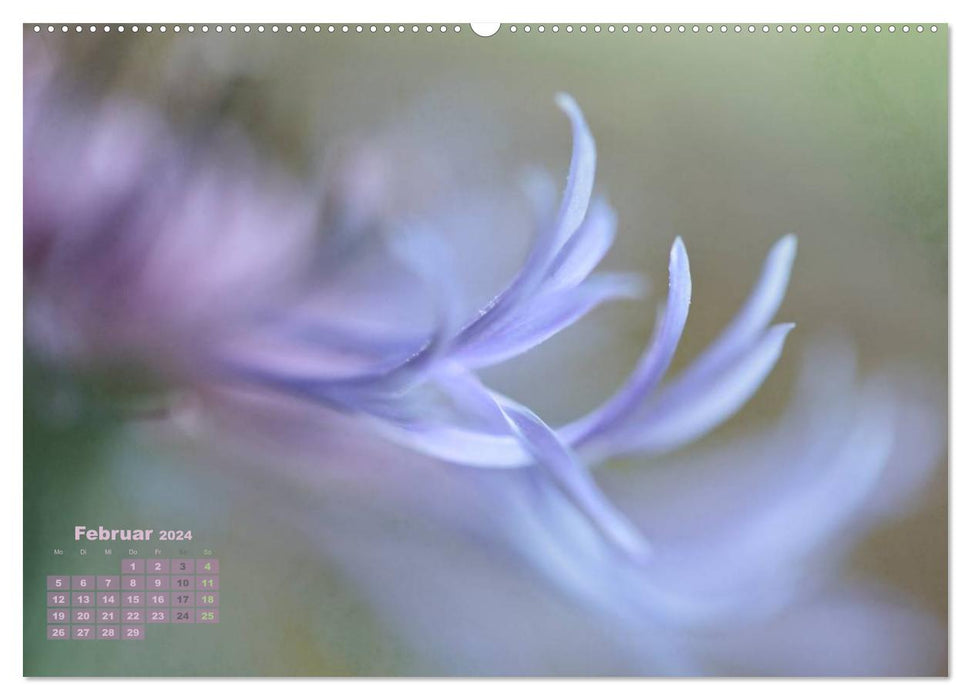 Zauberhafte Blüten (CALVENDO Premium Wandkalender 2024)