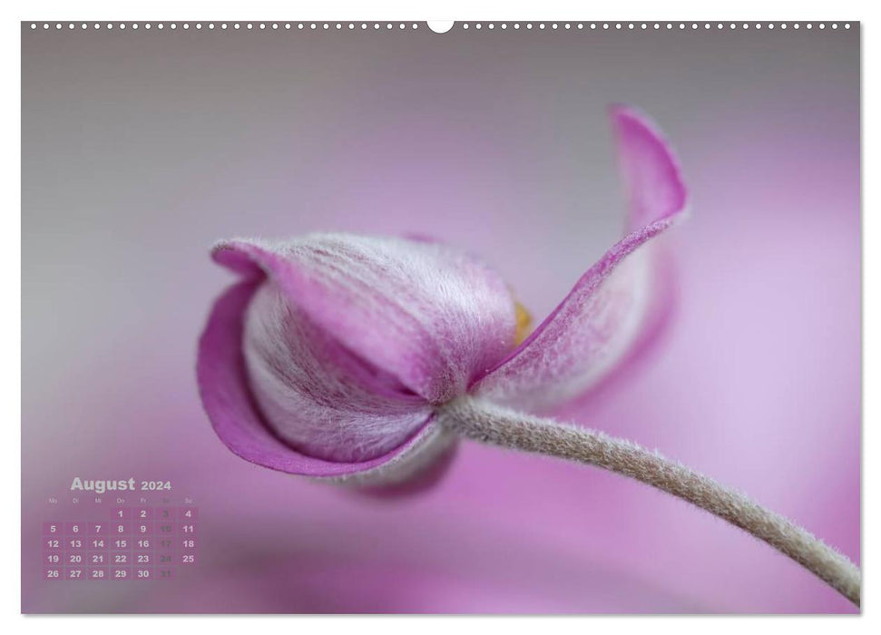 Magical flowers (CALVENDO Premium wall calendar 2024) 
