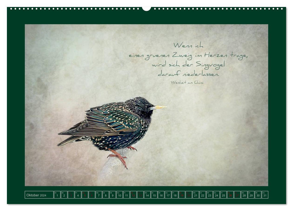 Starlings and wisdom (CALVENDO wall calendar 2024) 