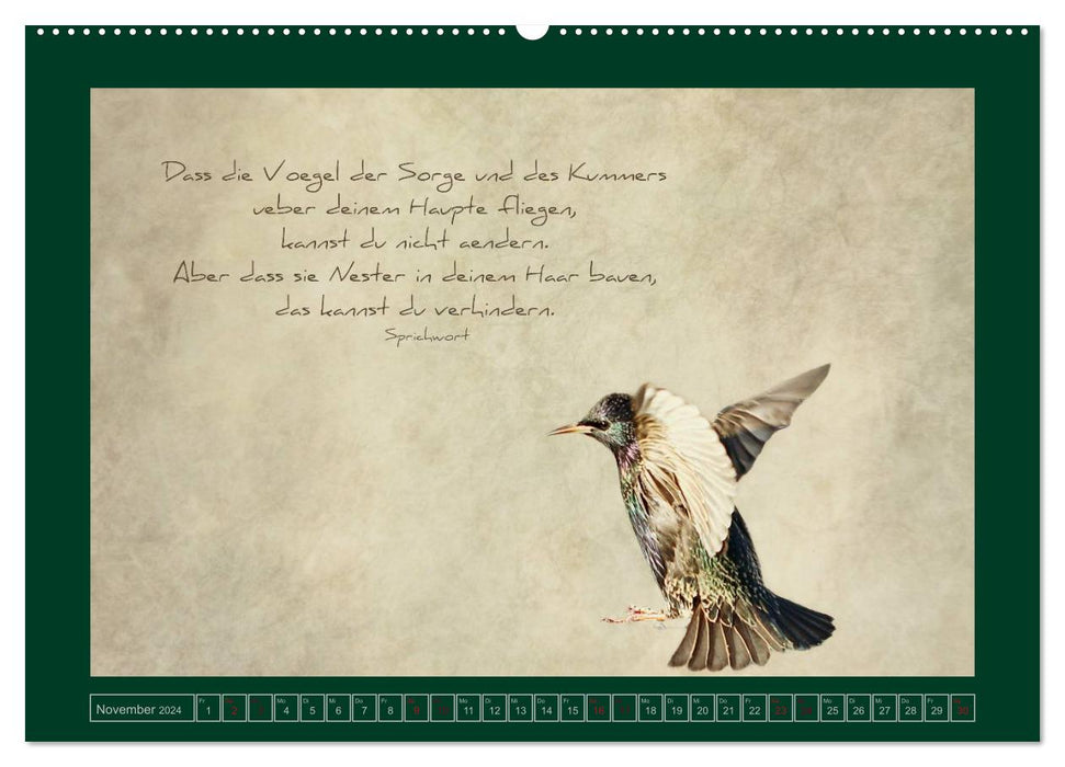 Starlings and wisdom (CALVENDO wall calendar 2024) 