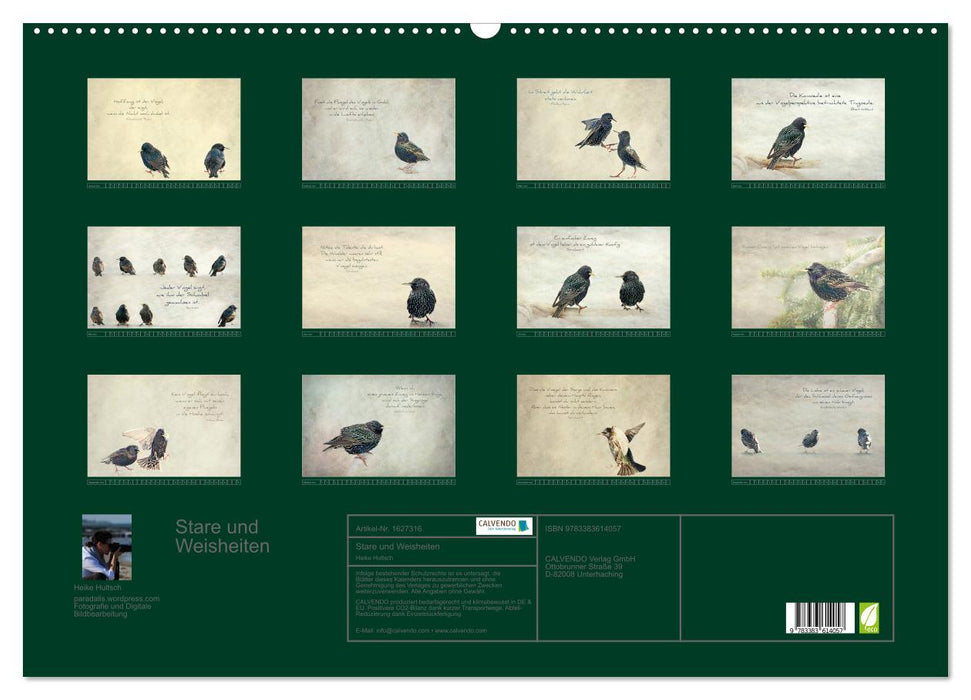Starlings and wisdom (CALVENDO wall calendar 2024) 