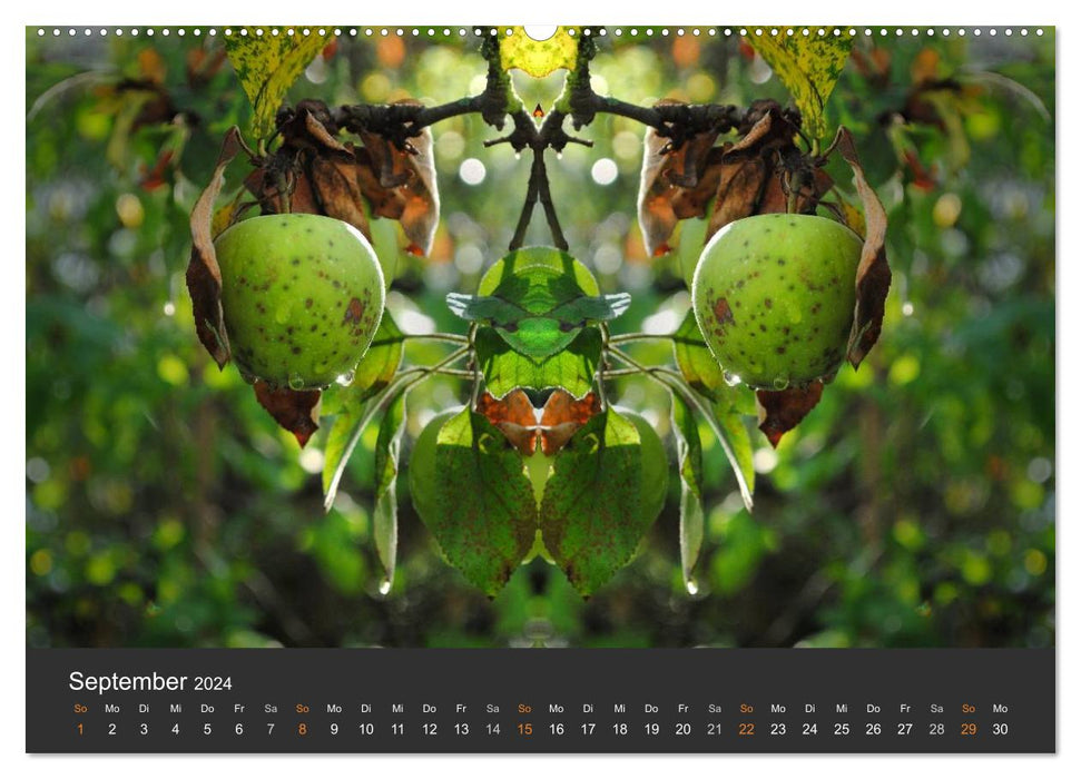 Mirror Worlds - In the Realm of Natural Creatures (CALVENDO Premium Wall Calendar 2024) 