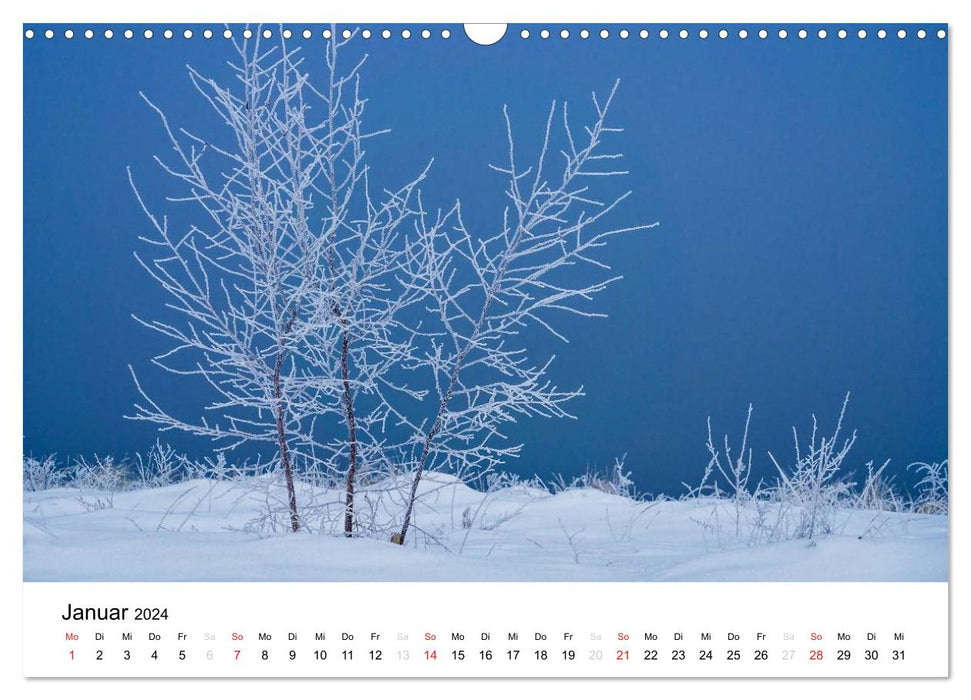 Landscapes (CALVENDO wall calendar 2024) 