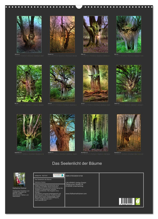 Das Seelenlicht der Bäume (CALVENDO Wandkalender 2024)