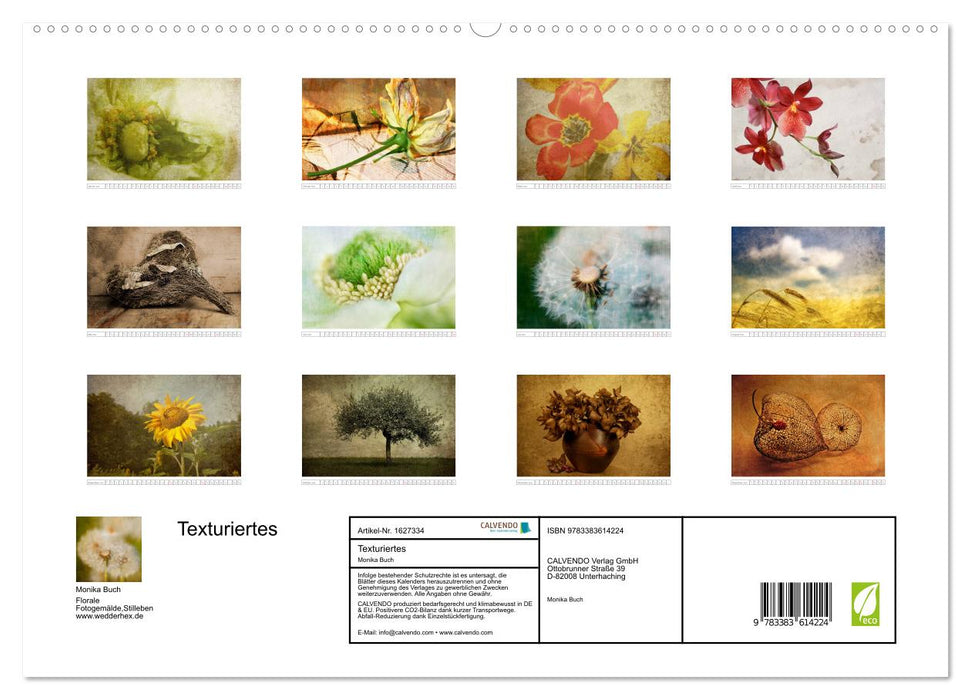 Textured (CALVENDO Premium Wall Calendar 2024) 
