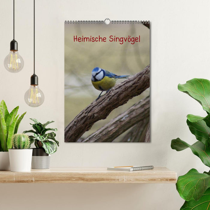 Heimische Singvögel (CALVENDO Wandkalender 2024)