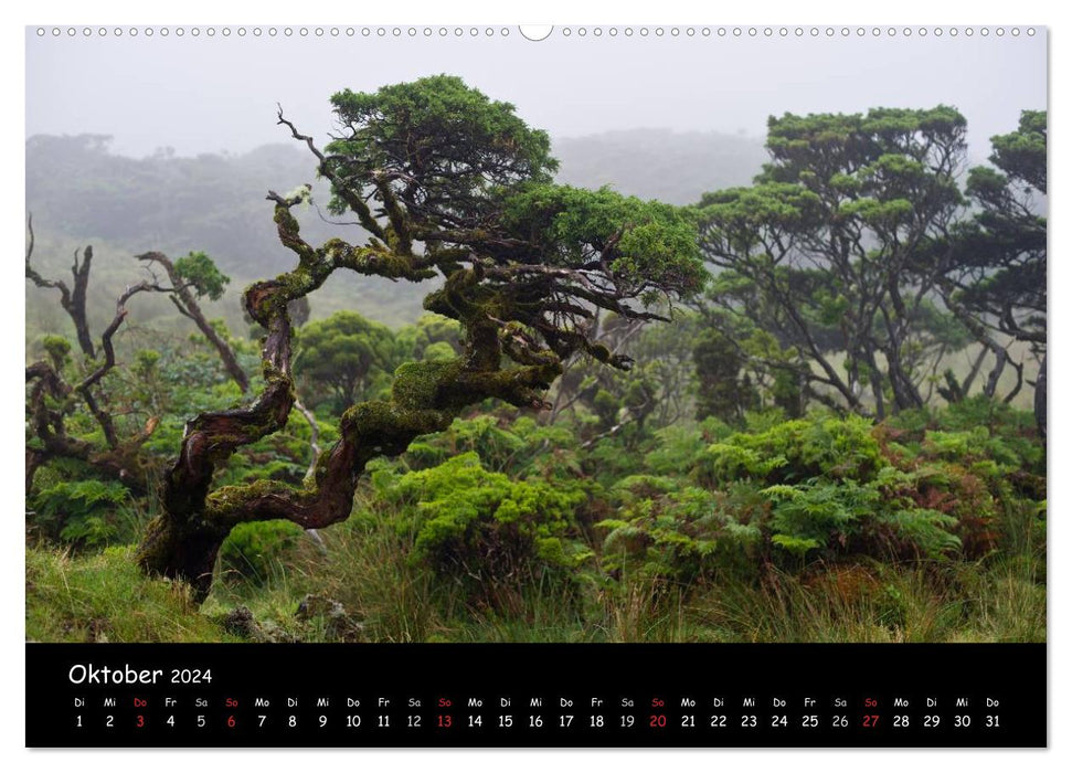Azores (CALVENDO wall calendar 2024) 