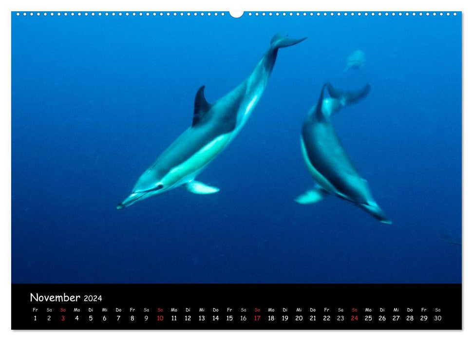 Azores (CALVENDO wall calendar 2024) 