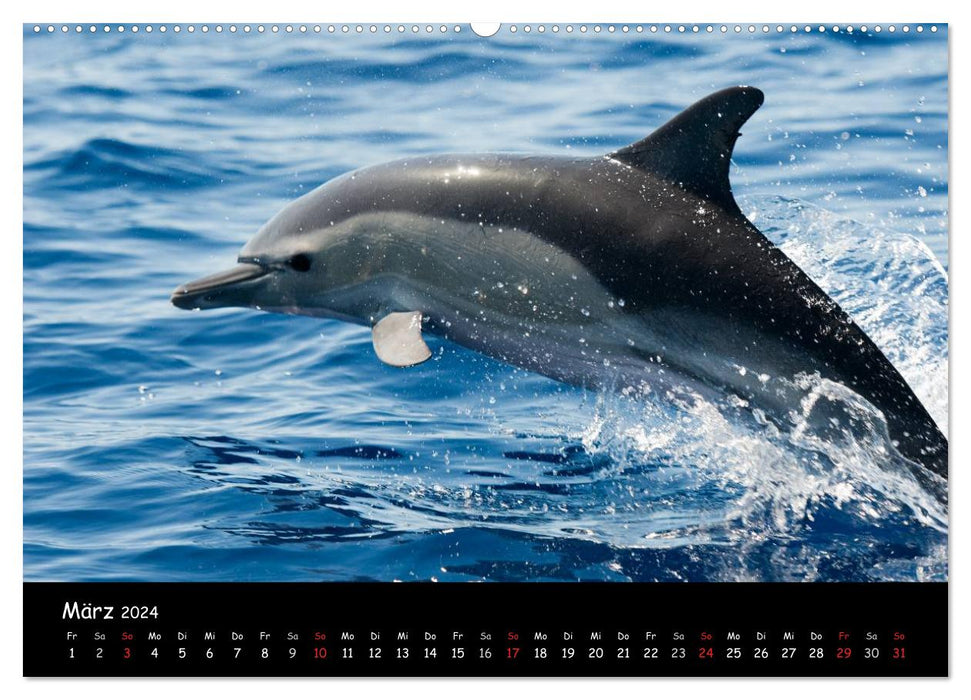 Azores (CALVENDO wall calendar 2024) 