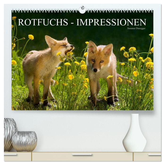 Rotfuchs - Impressionen (CALVENDO Premium Wandkalender 2024)