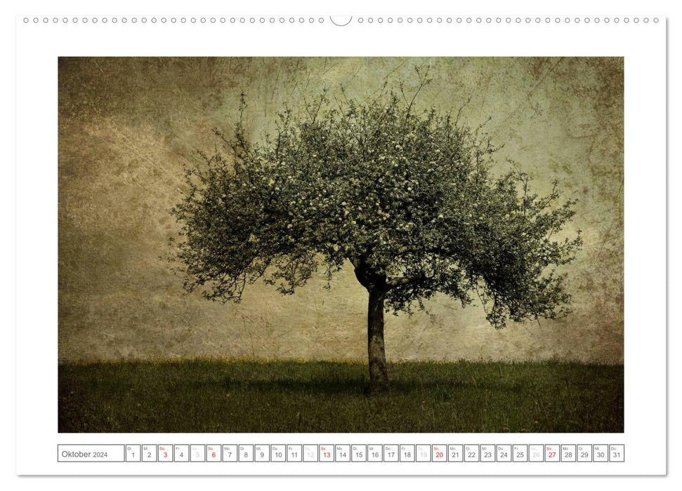 Textured (CALVENDO wall calendar 2024) 
