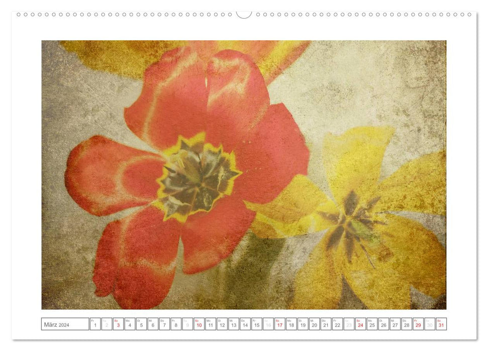 Textured (CALVENDO wall calendar 2024) 