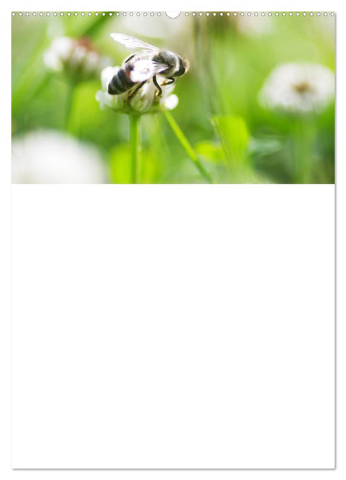 The natural garden family planner with Swiss calendar (CALVENDO Premium wall calendar 2024) 