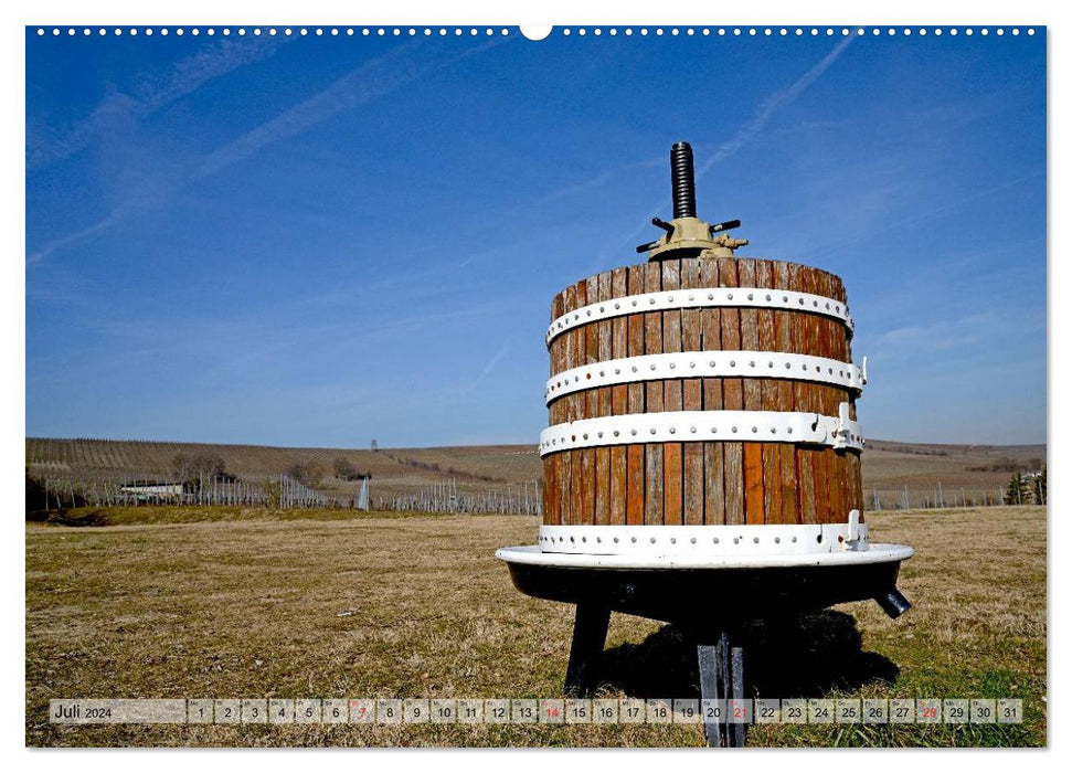 Bodenheim - Feel good between vineyards (CALVENDO Premium Wall Calendar 2024) 