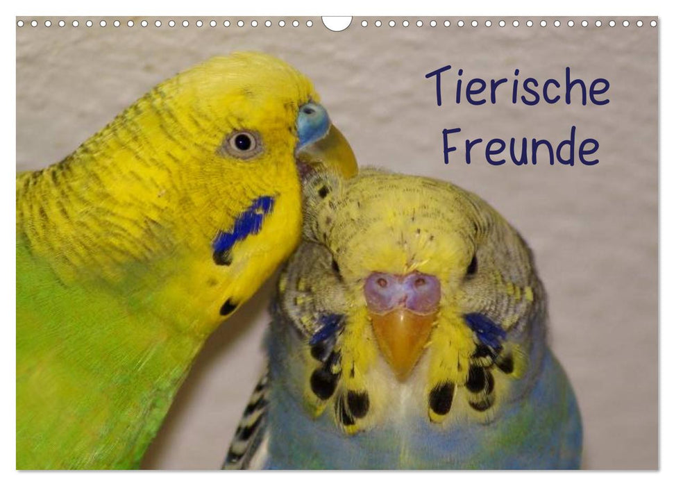 Tierische Freunde (CALVENDO Wandkalender 2024)