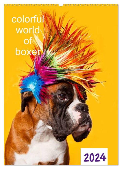 colorful world of boxer 2024 (CALVENDO wall calendar 2024) 
