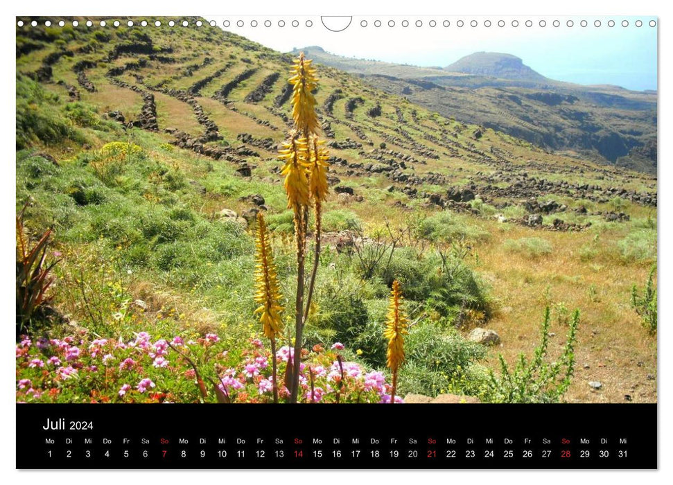 La Gomera (CALVENDO wall calendar 2024) 