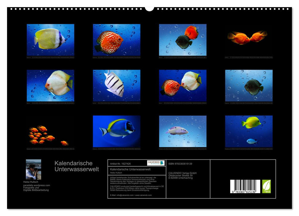 Calendrier monde sous-marin (CALVENDO Premium Wall Calendar 2024) 