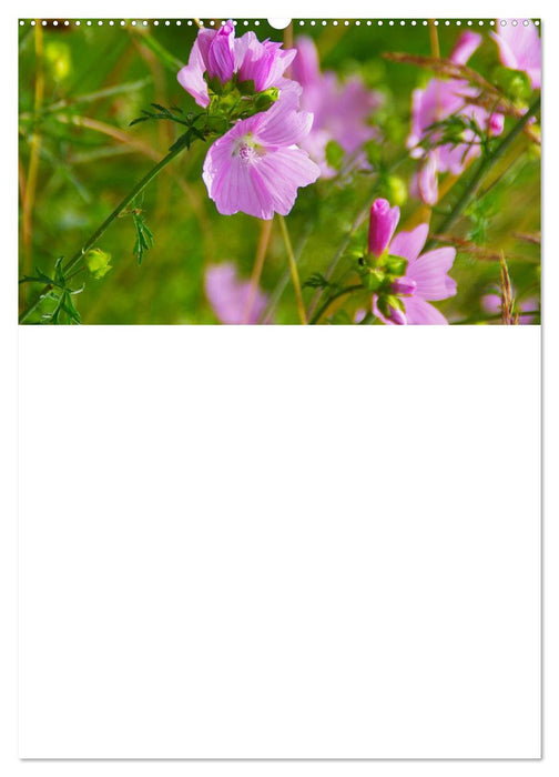 Der Naturgarten Familienplaner mit Schweizer Kalendarium (CALVENDO Wandkalender 2024)