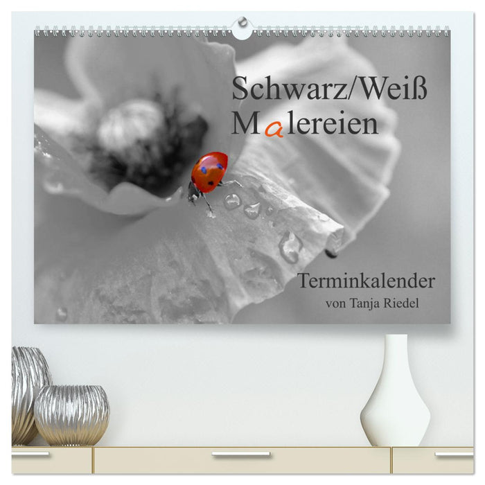 Calendrier de rendez-vous peintures en noir et blanc par Tanja Riedel pour la Suisse (CALVENDO Premium Wall Calendar 2024) 