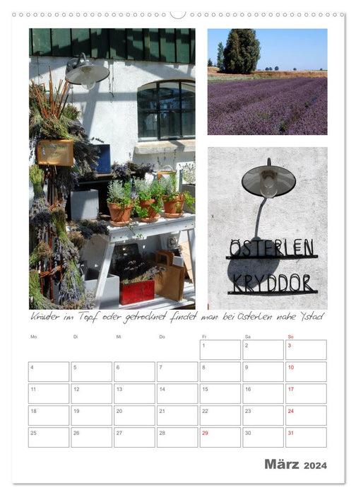 Gardens in Sweden (CALVENDO wall calendar 2024) 