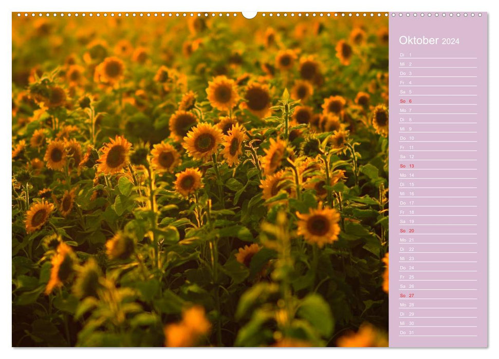 Flower Joy Swiss Calendar (CALVENDO Wall Calendar 2024) 