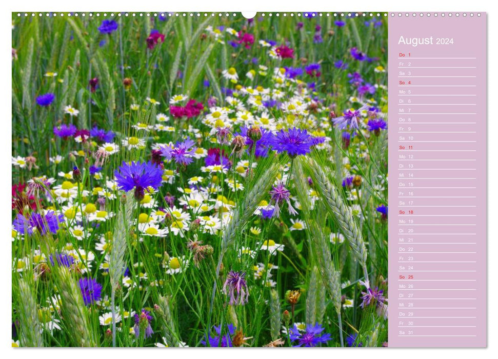 Calendrier suisse Flower Joy (calendrier mural CALVENDO 2024) 