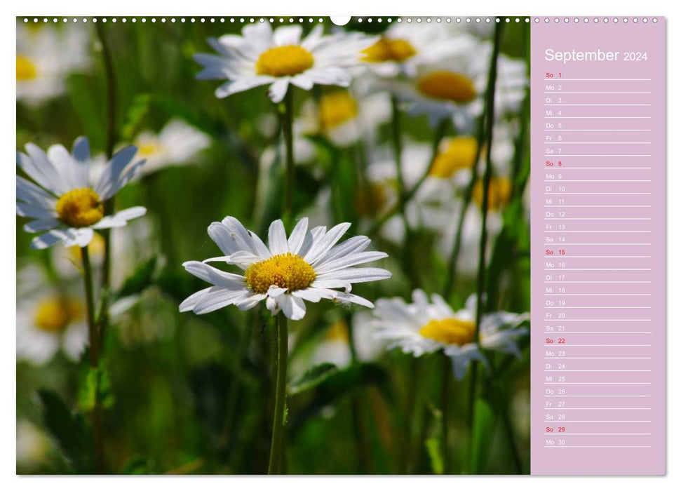 Blumenfreude Schweizer Kalendarium (CALVENDO Wandkalender 2024)