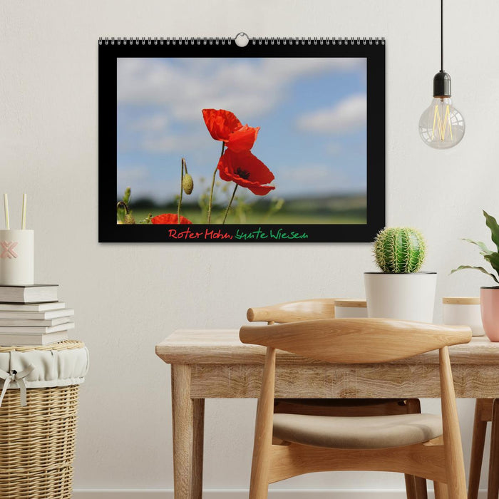 Red poppies, colorful meadows (CALVENDO wall calendar 2024) 