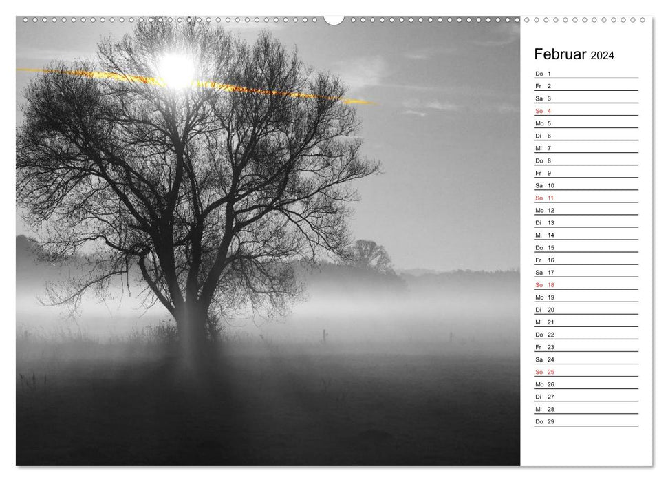 Schwarz-Weiß Malereien Terminkalender von Tanja Riedel für die Schweiz (CALVENDO Wandkalender 2024)