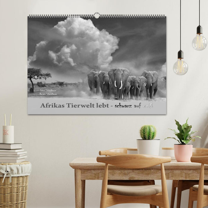 Africa's wildlife is alive - black on white (CALVENDO wall calendar 2024) 